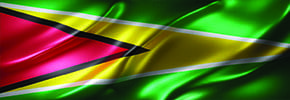 Guyana Flag
